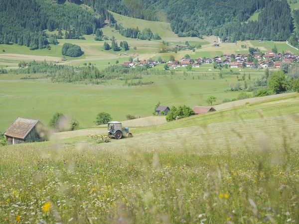 Traktor bewirtschaftet eine Wiese im Wiesmahd