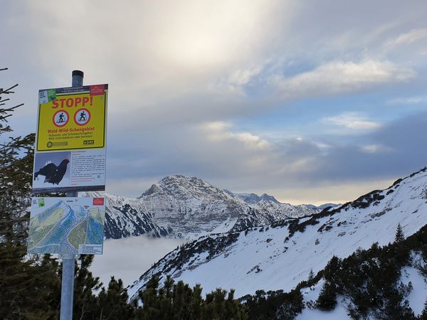 Schild Wald-Wild-Schongebiet am Scheinberg