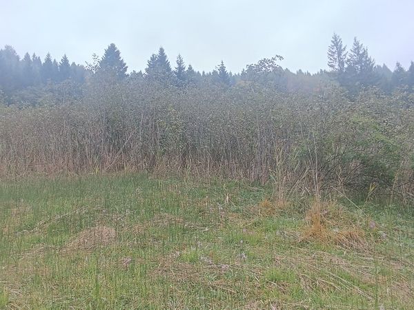 Vor der Team Ammertal Aktion Vor der Team Ammertal Aktion